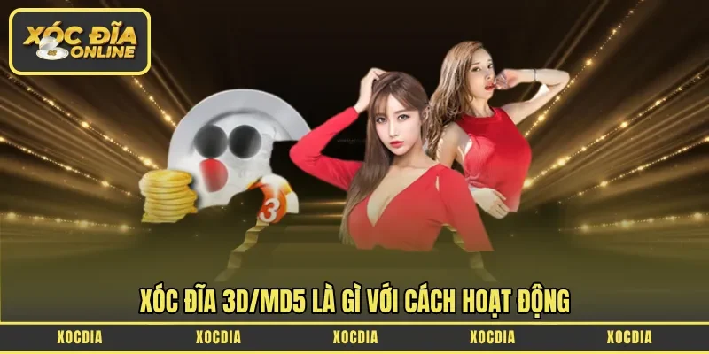 Xóc đĩa 3D/MD5 là gì với cách hoạt động